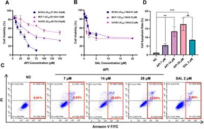 Mechanism of Apigenin against breast cancer stem cells: network pharmacology and experimental validation